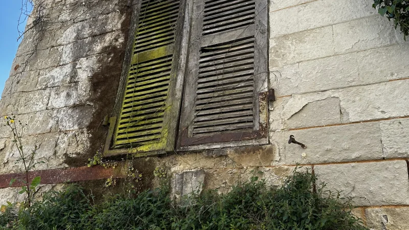 Featured image for post: Beauty is all around